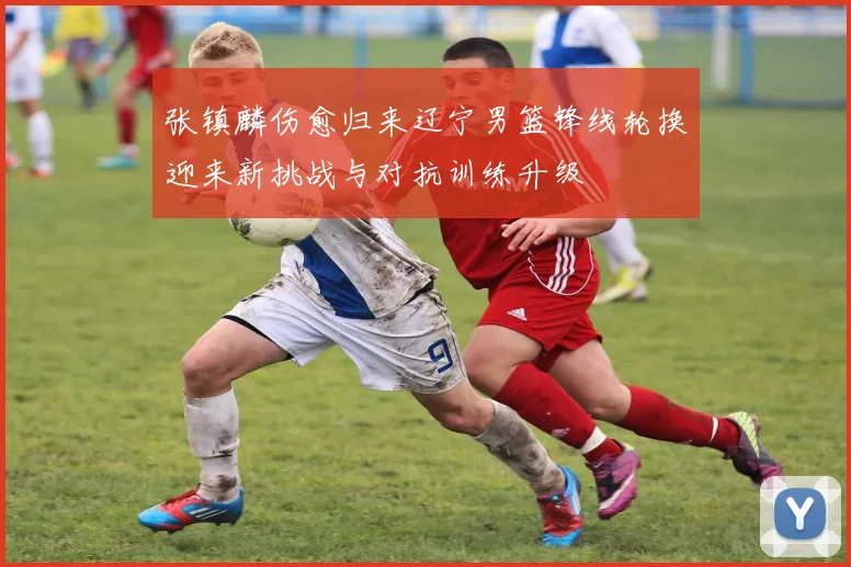 张镇麟伤愈归来辽宁男篮锋线轮换迎来新挑战与对抗训练升级